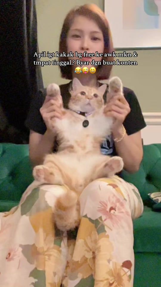 TikTok video thumbnail by sugardollbynn_