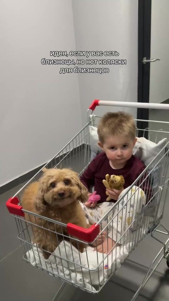 TikTok video thumbnail by grusha.star