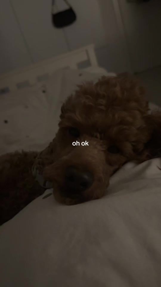 TikTok video thumbnail by keilyshapiro