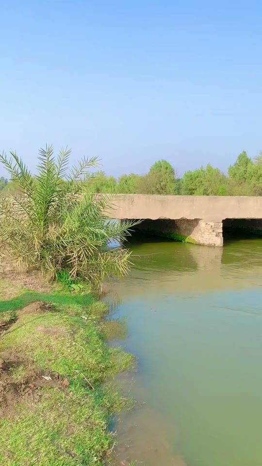 TikTok video thumbnail by mend_foundation
