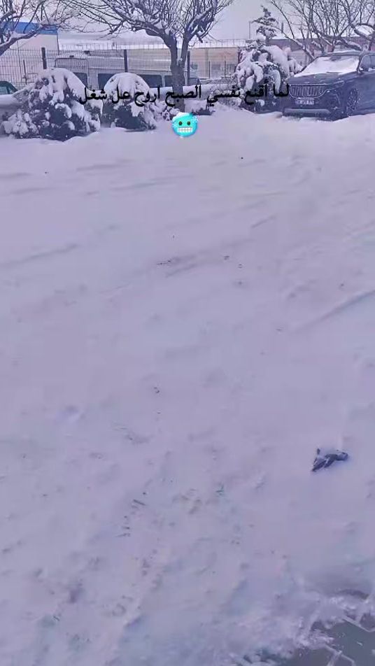 TikTok video thumbnail by fauaz919