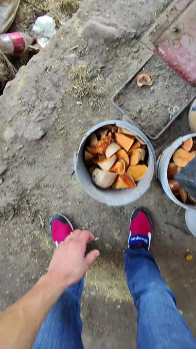 TikTok video thumbnail by joseluiscera