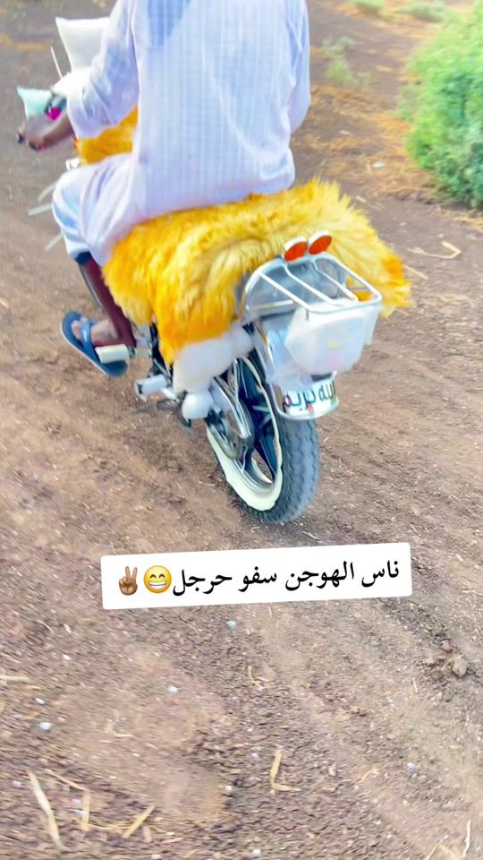 TikTok video thumbnail by user93276276159477