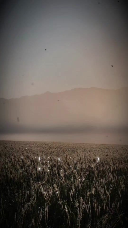 TikTok video thumbnail by chaniegriffiths1