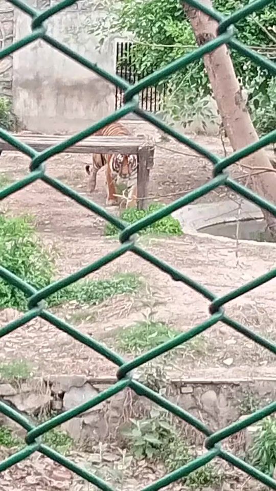 TikTok video thumbnail by 71223714binitabarai