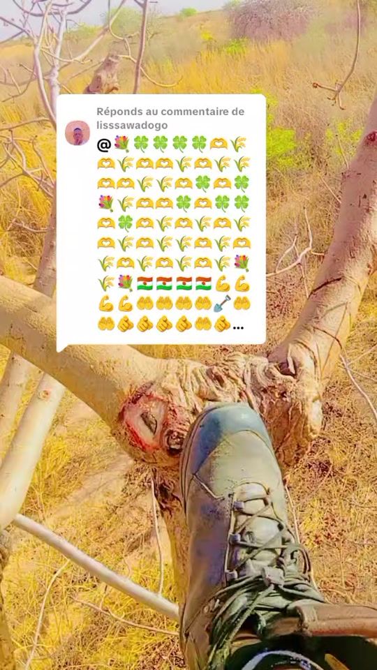 TikTok video thumbnail by petityoro47