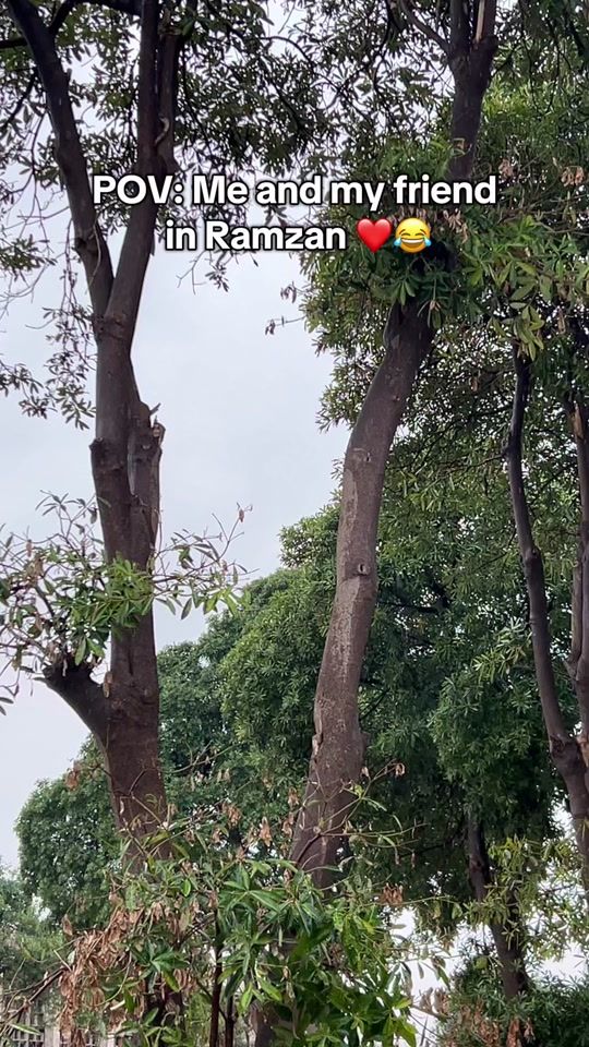 TikTok video thumbnail by danyal._____
