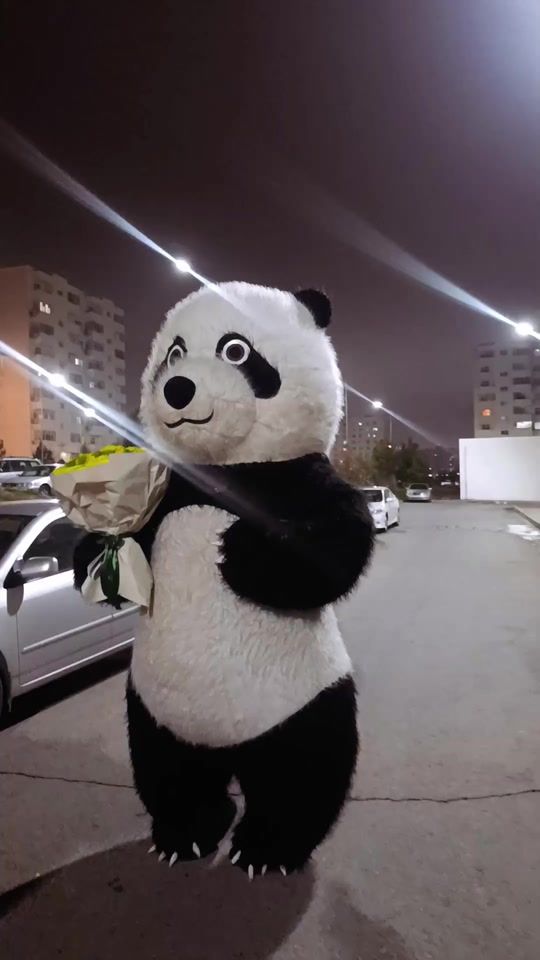 TikTok video thumbnail by ynamlymishkalar