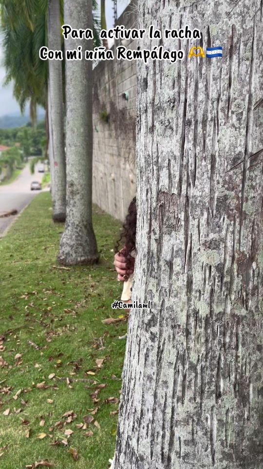TikTok video thumbnail by elsobadohn