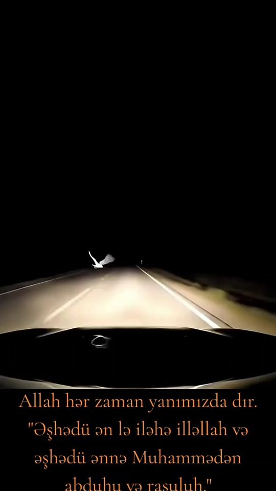 TikTok video thumbnail by leonardo5cl5