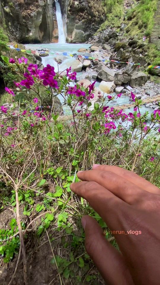 TikTok video thumbnail by niran_karki