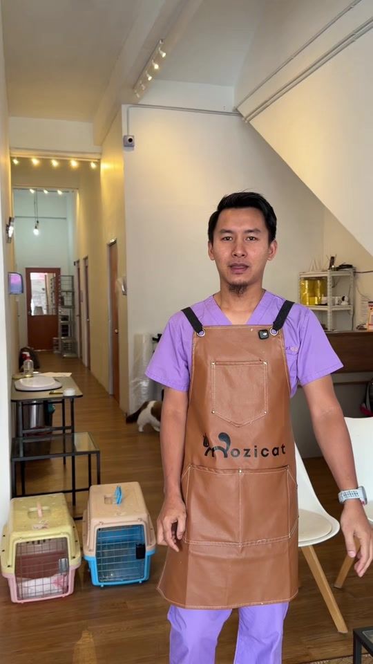 TikTok video thumbnail by mozicat_hq