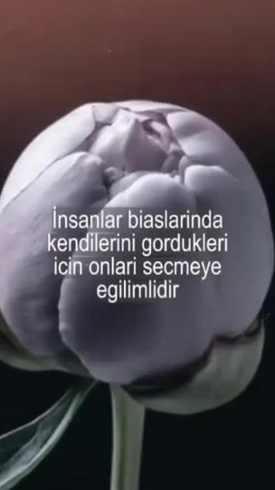 TikTok video thumbnail by yvesqsw