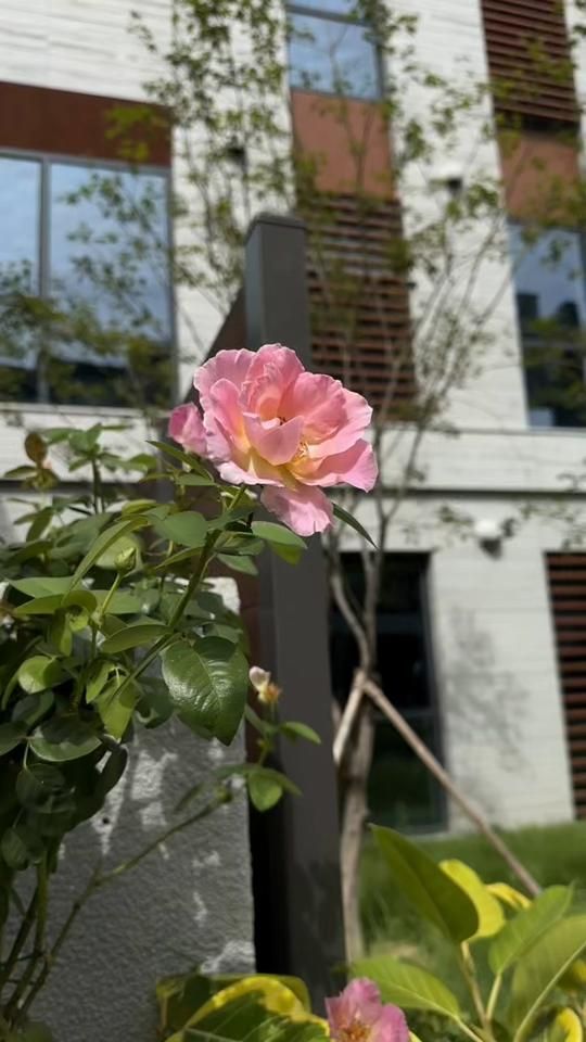 TikTok video thumbnail by mariem.horma