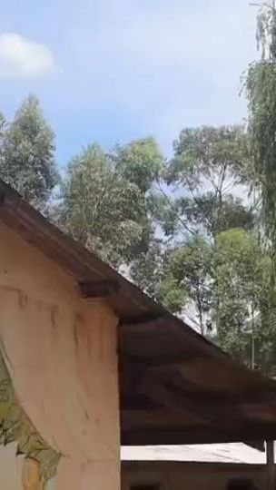TikTok video thumbnail by sylvia.khasoa.sor