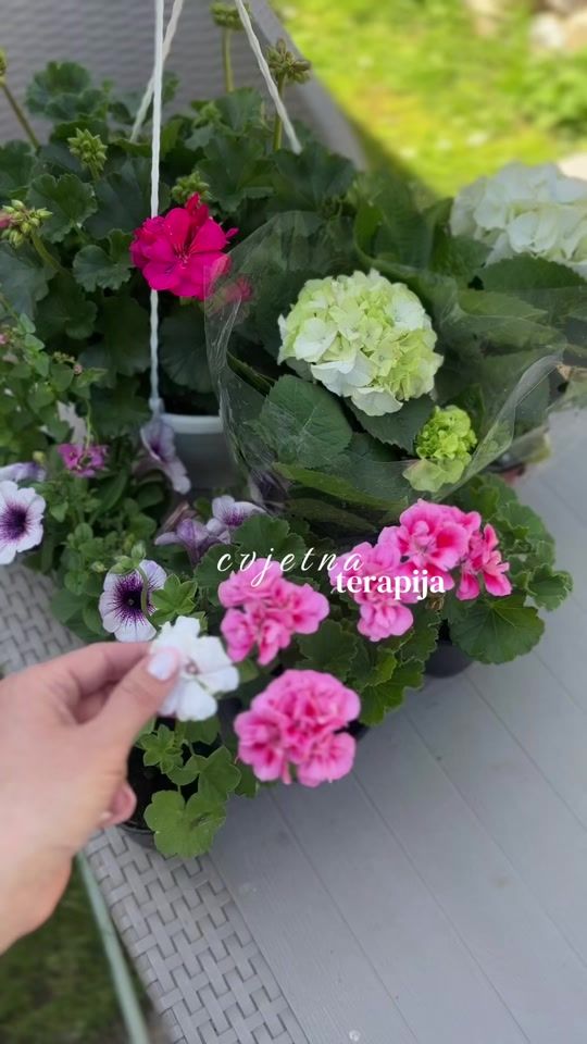 TikTok video thumbnail by dzeni_z