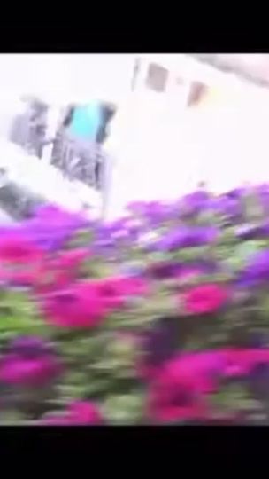 TikTok video thumbnail by batler1994