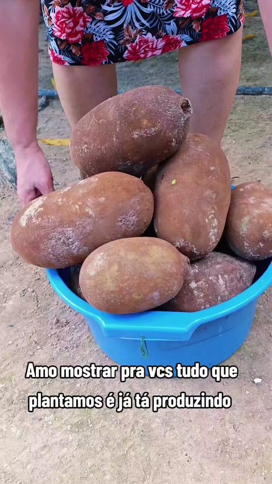 TikTok video thumbnail by ivany.de.sousa