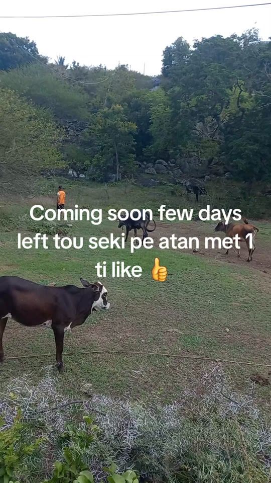 TikTok video thumbnail by ruksaardurgahee3