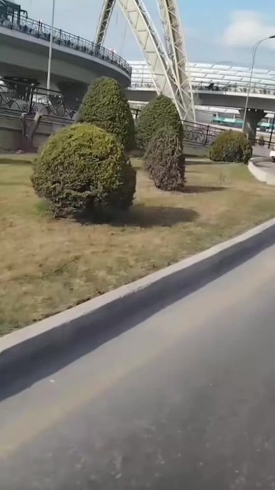 TikTok video thumbnail by _heyyatda_tek