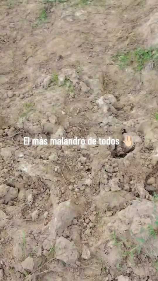 TikTok video thumbnail by neristorrealba.jr