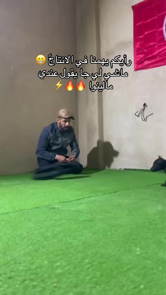 TikTok video thumbnail by malinois_bordj