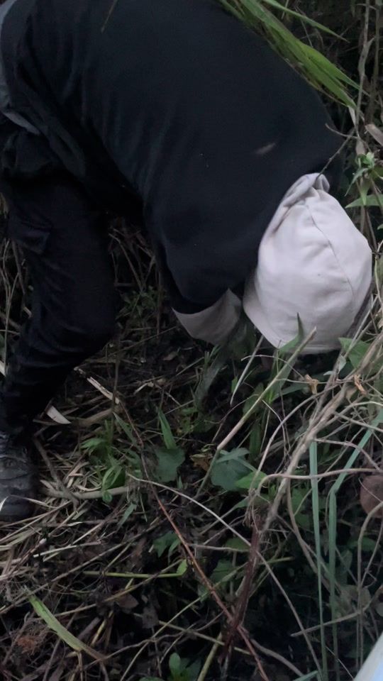 TikTok video thumbnail by williamsosa10