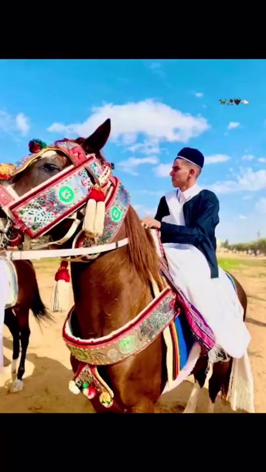 TikTok video thumbnail by user6761783630713