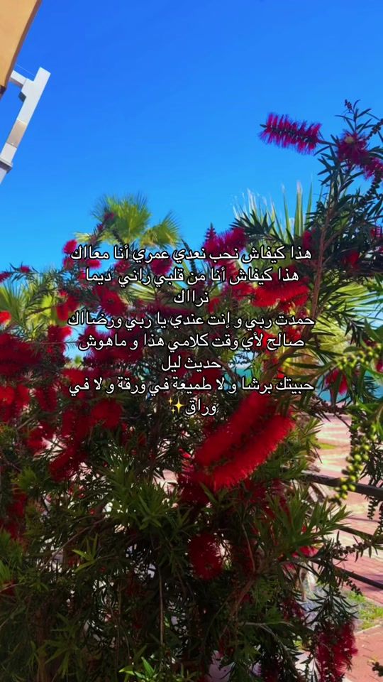 TikTok video thumbnail by amal_eladel
