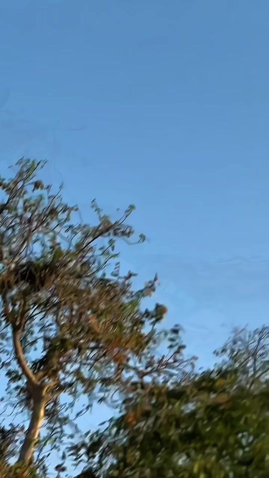 TikTok video thumbnail by rahimsha490