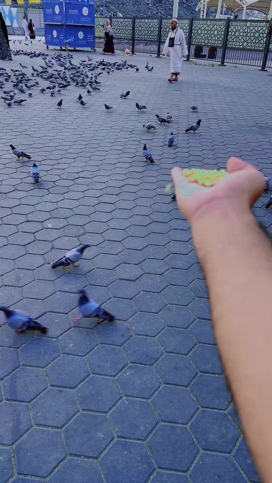 TikTok video thumbnail by itz_n_a_