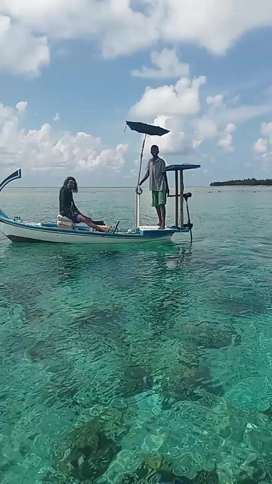 TikTok video thumbnail by fehendhoo1