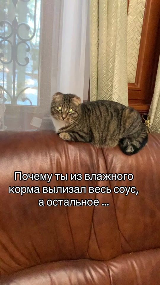 TikTok video thumbnail by bakaevamira