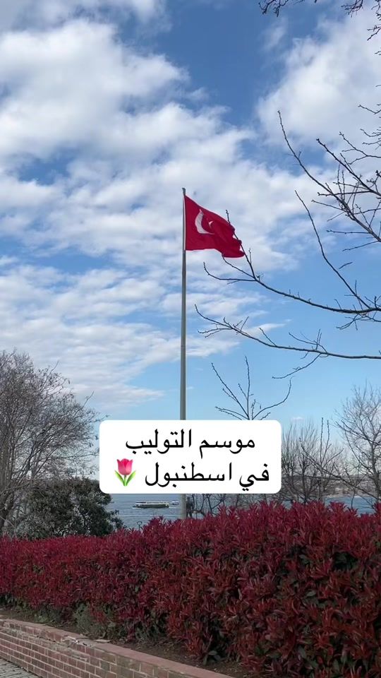 TikTok video thumbnail by lusin.bd