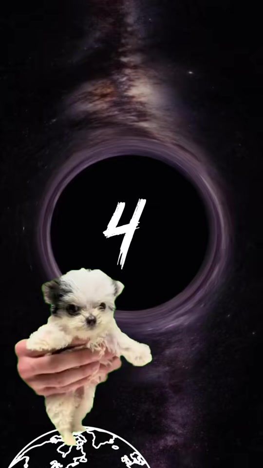 TikTok video thumbnail by ok_sana.polishchuk