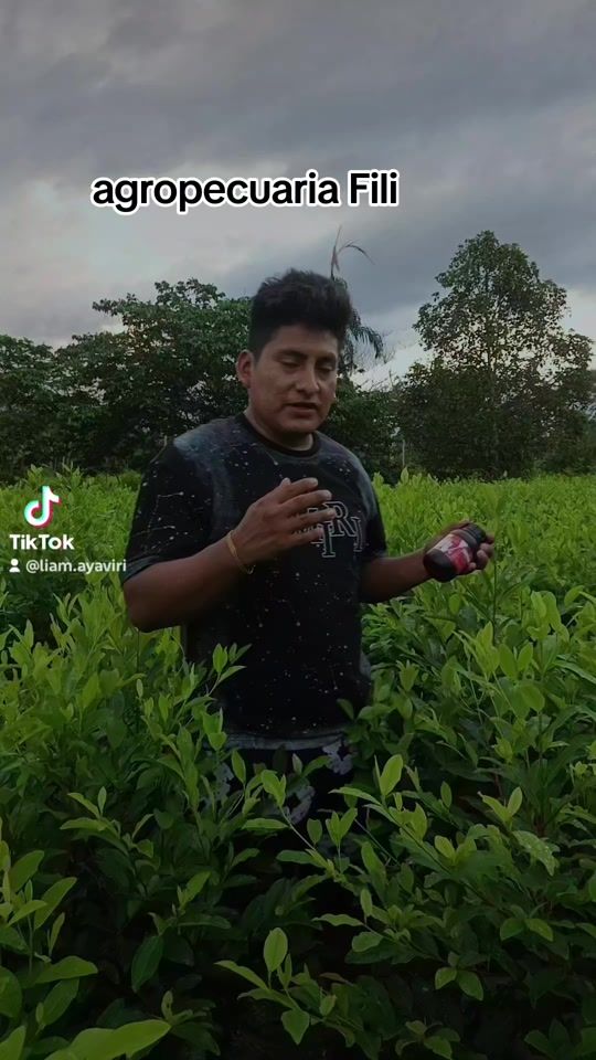 TikTok video thumbnail by liam.ayaviri