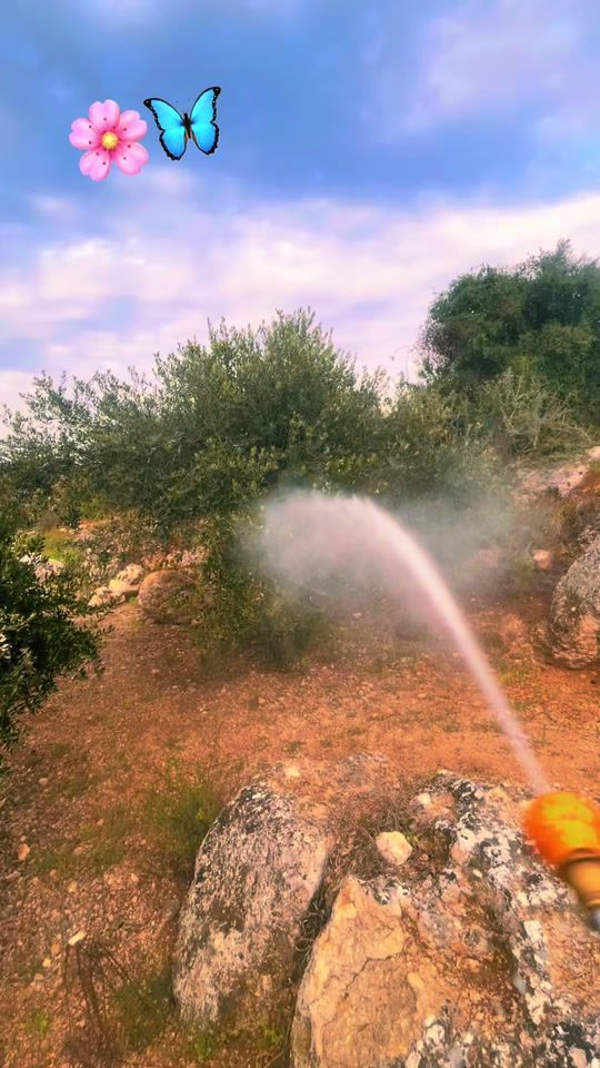 TikTok video thumbnail by hamammawad