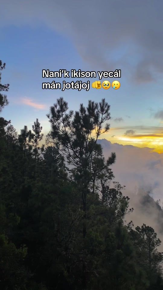TikTok video thumbnail by el.__cachorro
