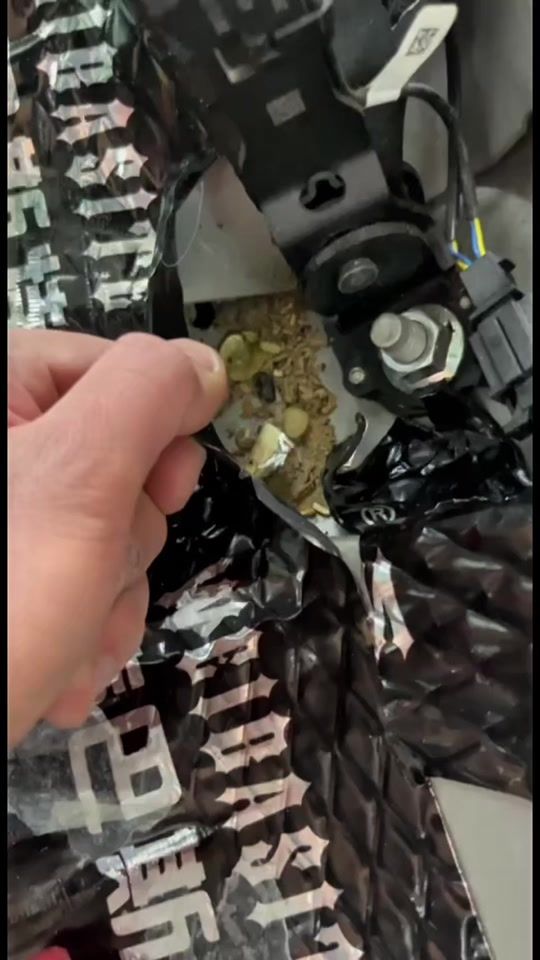 TikTok video thumbnail by rodon.online