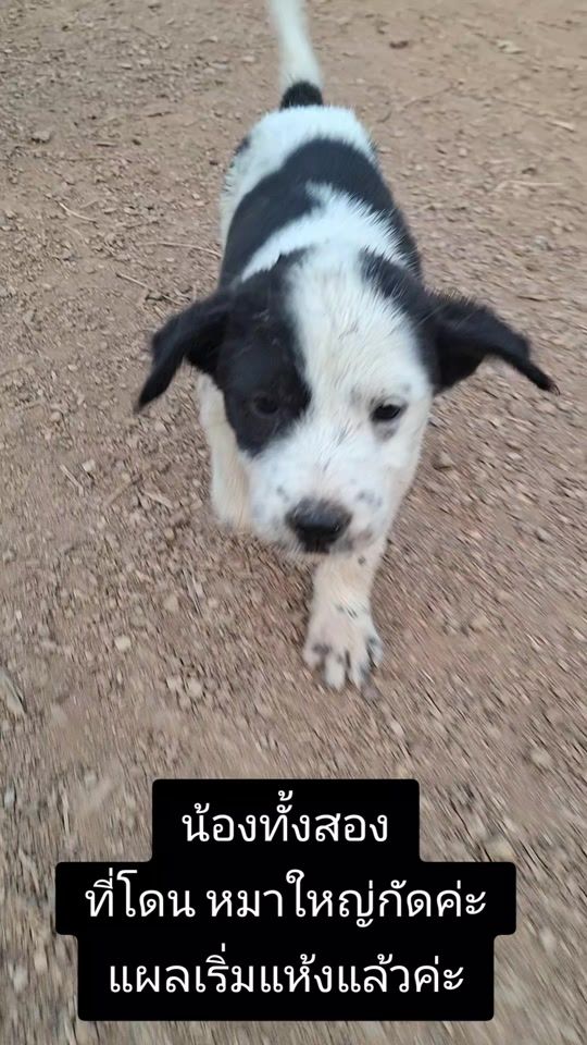 TikTok video thumbnail by kanjawan26
