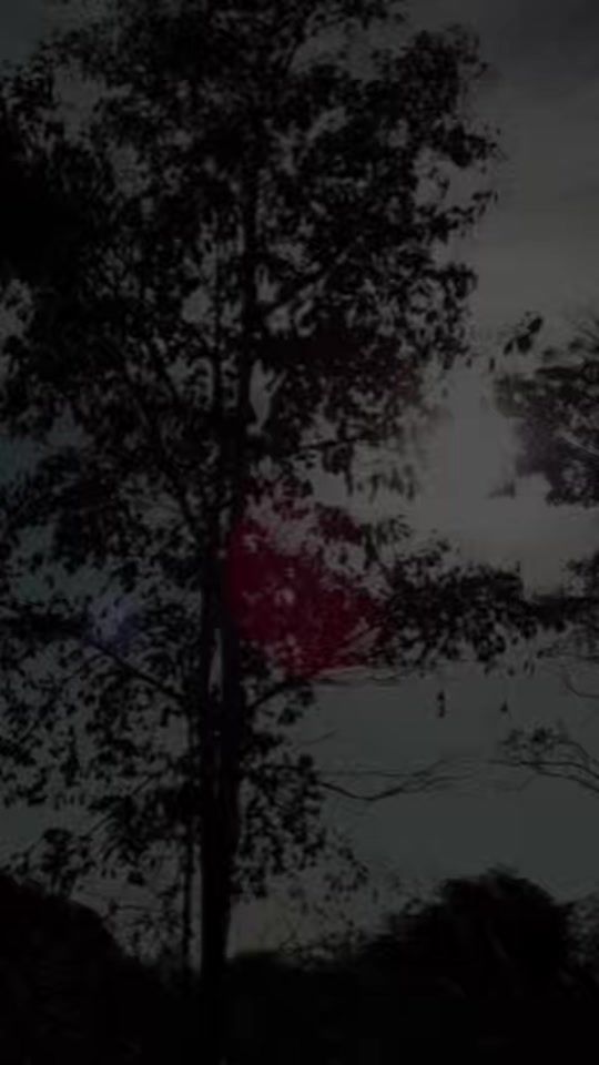 TikTok video thumbnail by impactomental17