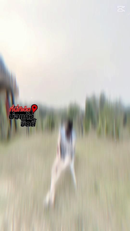 TikTok video thumbnail by thu213508