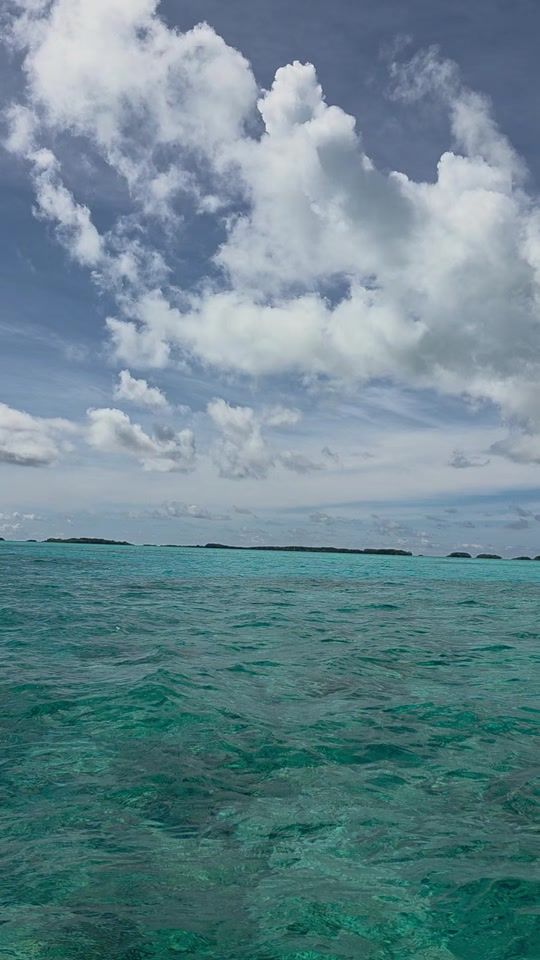 TikTok video thumbnail by thprani