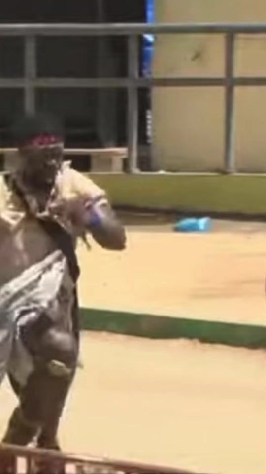 TikTok video thumbnail by cheikhfall7944