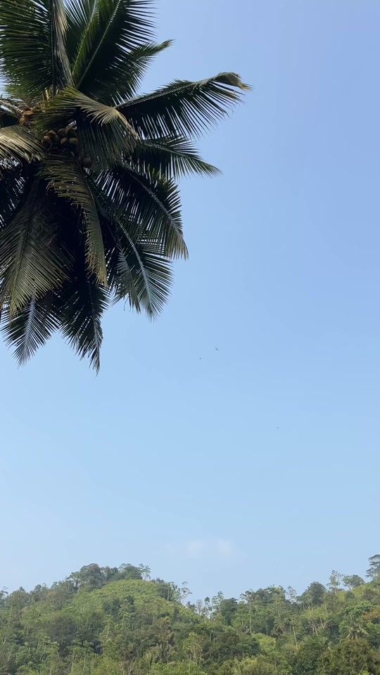 TikTok video thumbnail by chathu_edizz