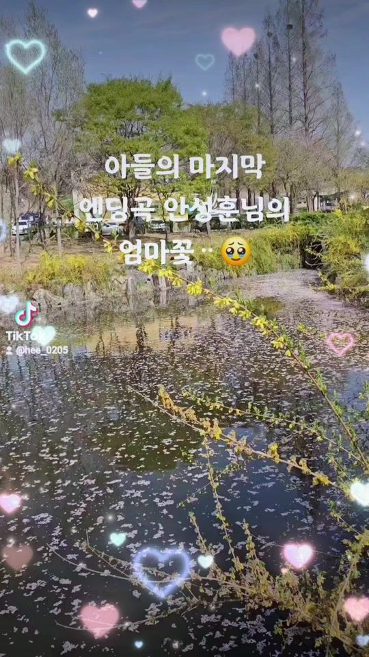 TikTok video thumbnail by hee_0205