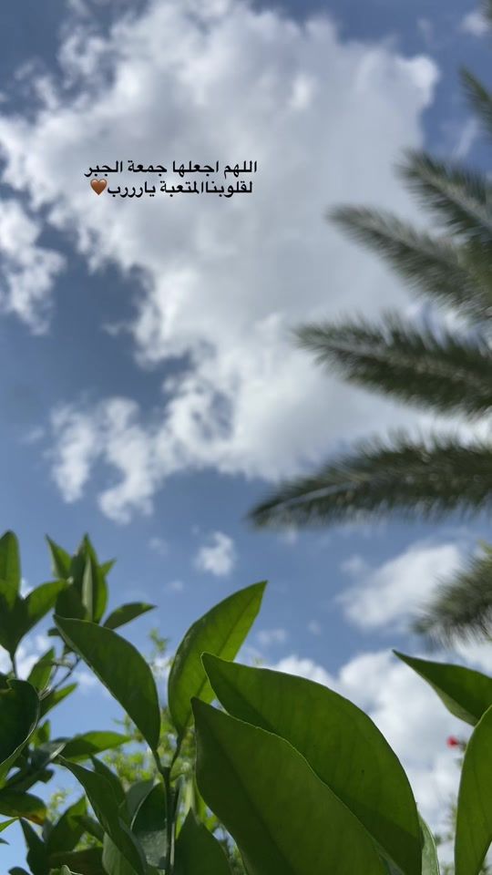 TikTok video thumbnail by 61_p1