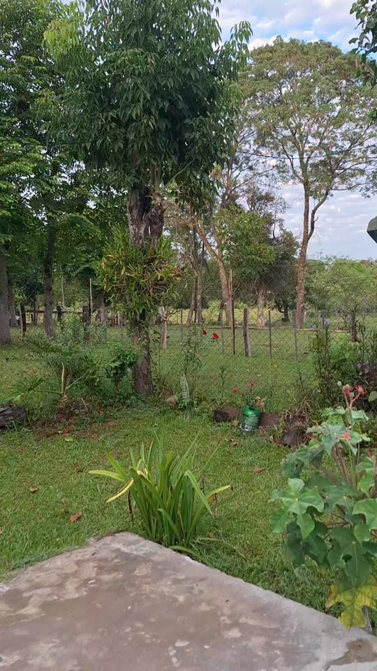 TikTok video thumbnail by stefany_guerre270