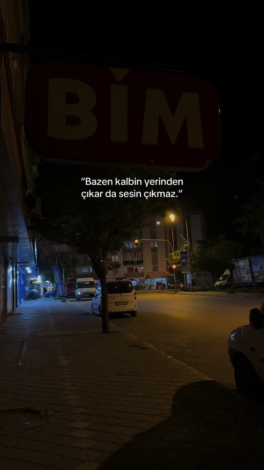 TikTok video thumbnail by bizsonsuzdukkseninlee