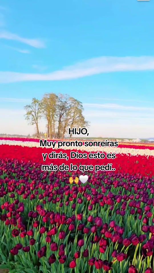 TikTok video thumbnail by 7gabi502
